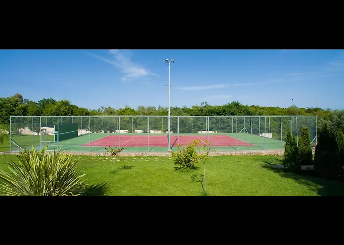 Exclusive Kouramaditika